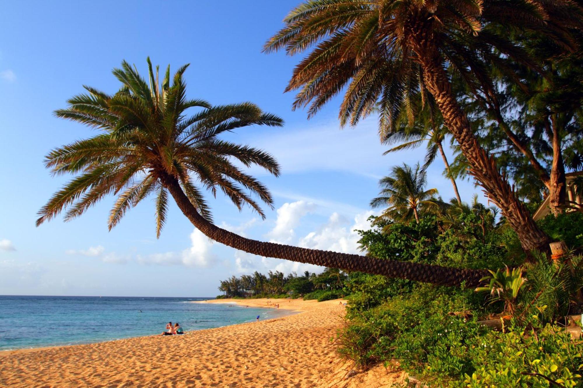 Turtle Bay Escape Golf Course Front, By The Beach Villa Kahuku Bagian luar foto